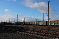 IMG_1784-BorderMaker