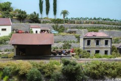 IMG_5420-BorderMaker