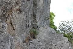 IMG_4747-BorderMaker