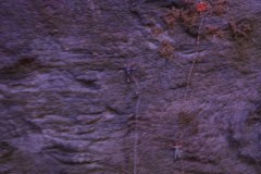 IMG_5668-BorderMaker