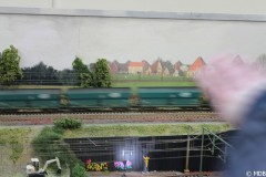 IMG_5728-BorderMaker