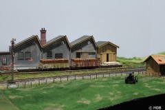 IMG_1040-BorderMaker-1