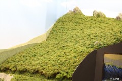 IMG_3550-BorderMaker