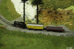 IMG_1176-BorderMaker