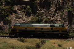 B-models-5502
