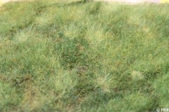 IMG_4150-BorderMaker