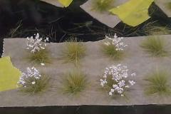 Witte bloemetjes