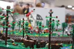 IMG_6340-BorderMaker