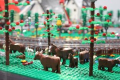 IMG_6342-BorderMaker