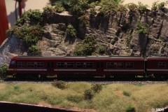 Olaerts-425